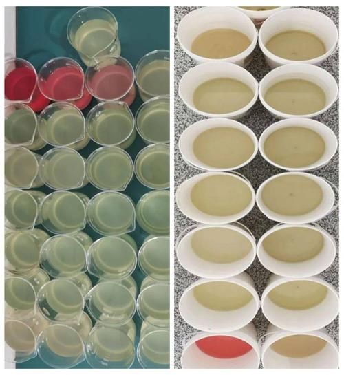 鼓吹为"第五代消毒剂"产品,真的全能改底,调水,杀菌,杀藻?